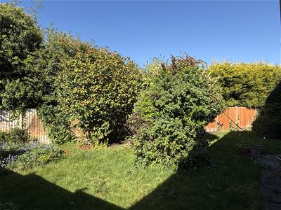 Picture 12